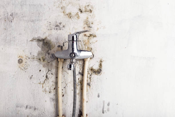 Home Mold Removal in Messiah College, PA