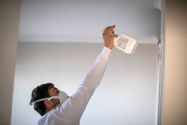 Best Mold Removal Company Near Me  in Messiah College, PA