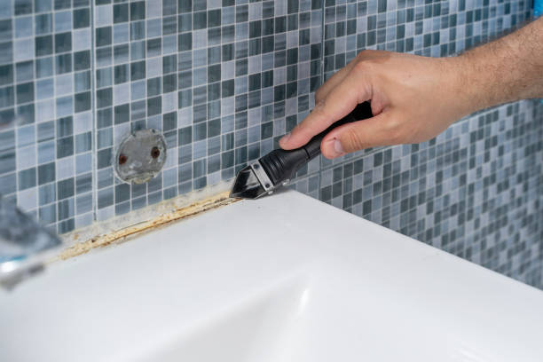 Best Residential Mold Removal  in Messiah College, PA